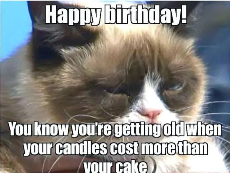 Meme cat happy birthday với mèo đáng yêu, tạo nên bầu không khí sinh nhật vui nhộn.