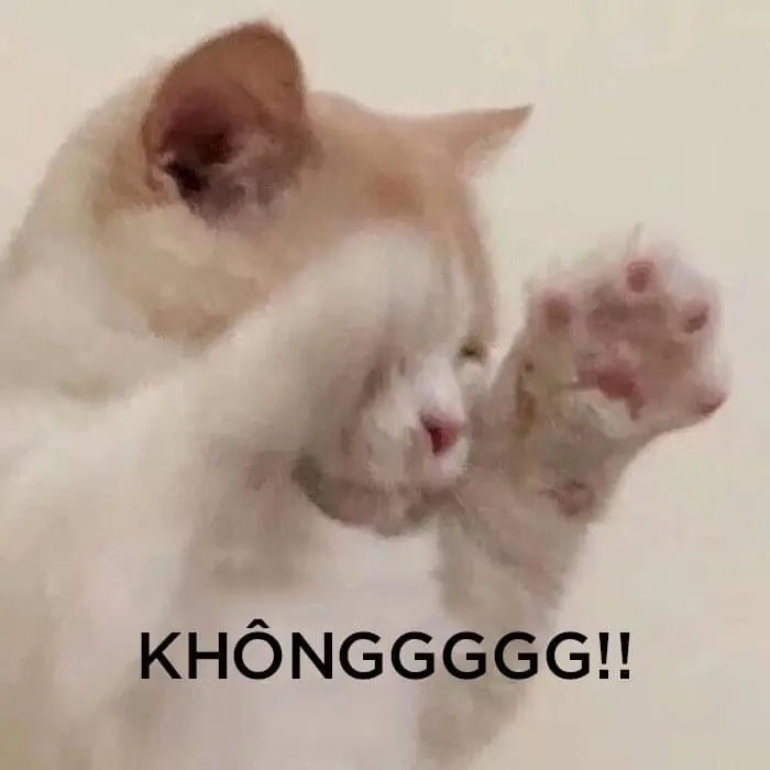 Meme chuyển khoản không làm mà đòi có ăn siêu hài.