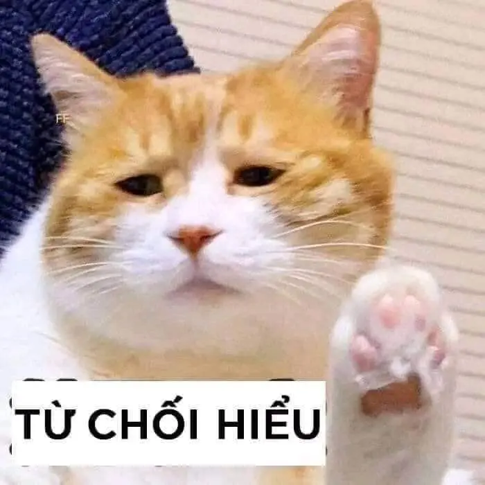 10 điểm không có nhưng meme hài hước đầy sáng tạo.