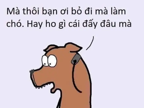 Không tin meme khiến ai cũng phải bật cười.