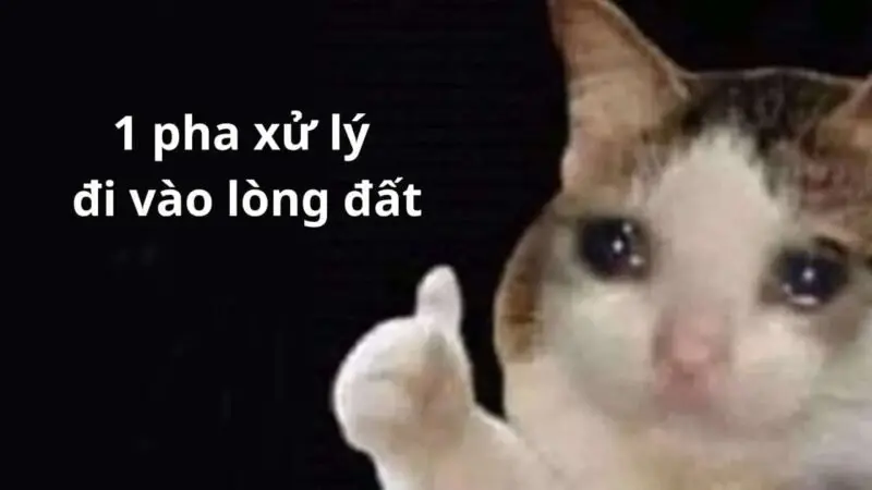 Meme mèo thả biểu tượng like đáng yêu, phù hợp cho mọi bài đăng.