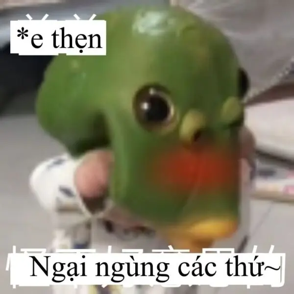 Meme ngại ngùng phù hợp với những tình huống hài khó đỡ.