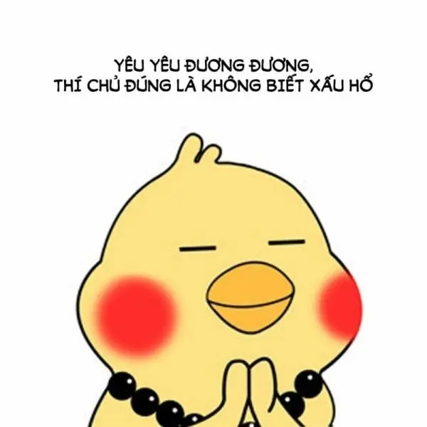 Meme mèo xấu hổ là lựa chọn hoàn hảo cho fan yêu động vật.