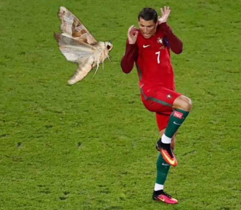 Ronaldo siu meme hài hước gây sốt trên mạng xã hội