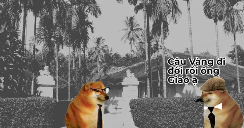 Shiba inu meme coin nổi bật trong mọi cuộc trò chuyện.