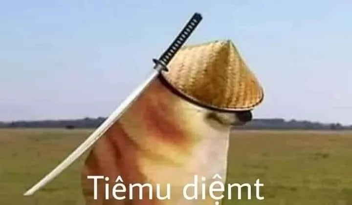 Làm mới thiết bị với hình nền chó shiba meme.