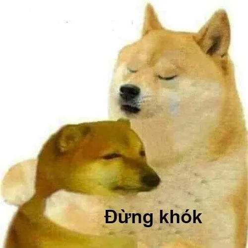 Meme shiba bonk độc lạ và hài hước.