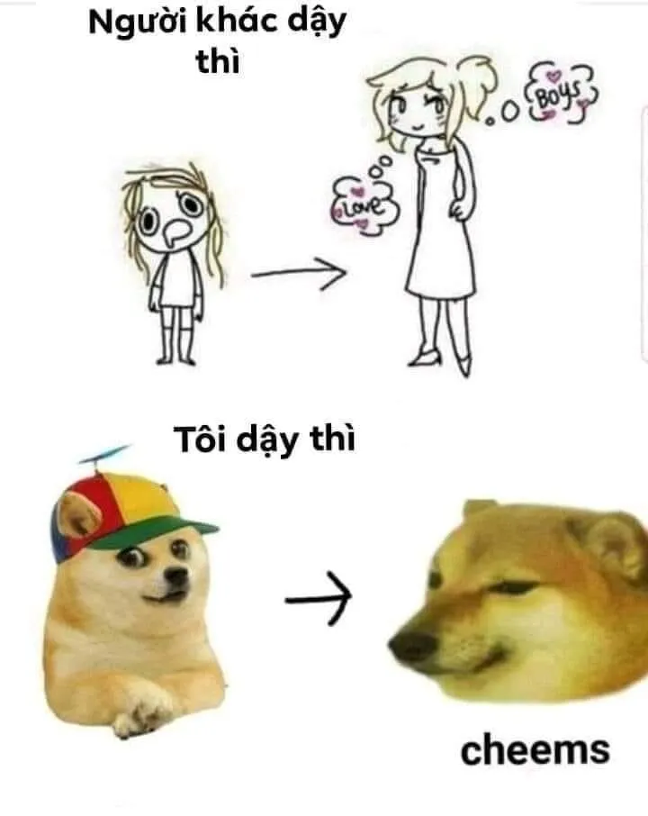 Shiba meme chó shiba giúp bạn lan tỏa niềm vui.