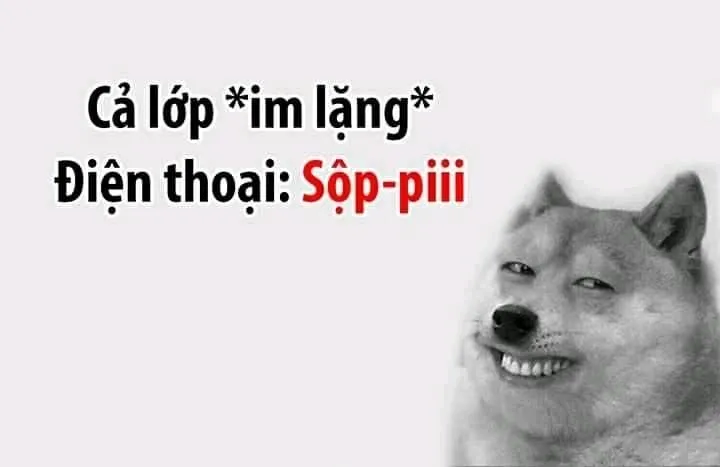 Đừng bỏ lỡ shiba bonk meme ngộ nghĩnh.