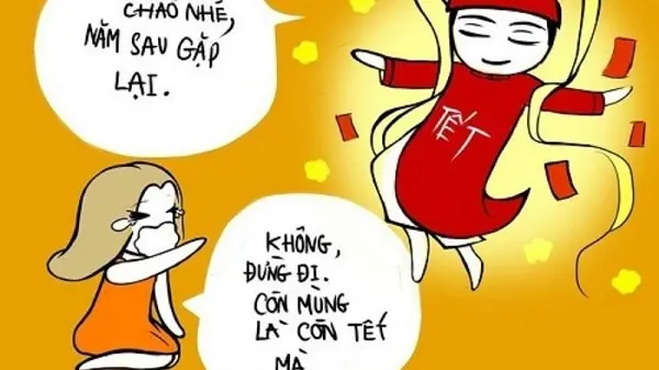  Meme tết vui nhộn mang không khí xuân cho mọi người