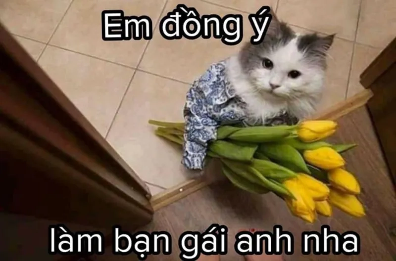 Meme tỏ tình hài hước khiến ai cũng bật cười.