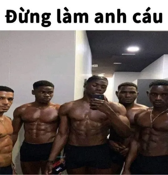 Duolingo meme việt nam hài hước với các câu chuyện học ngôn ngữ "bá đạo".