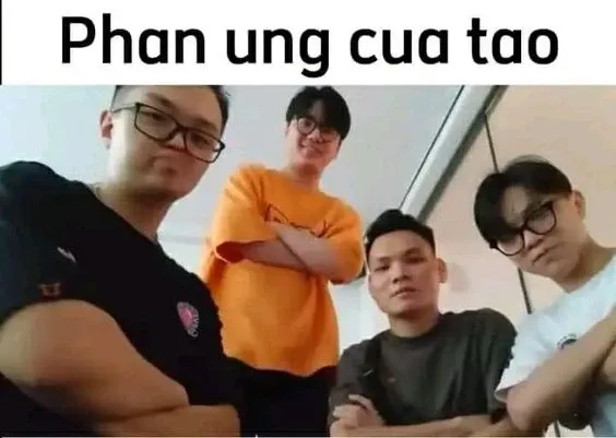 Các meme nổi tiếng việt nam làm bùng nổ trào lưu hài hước độc đáo.