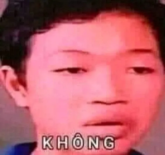 Top meme việt nam tổng hợp những hình ảnh hài hước được yêu thích nhất.