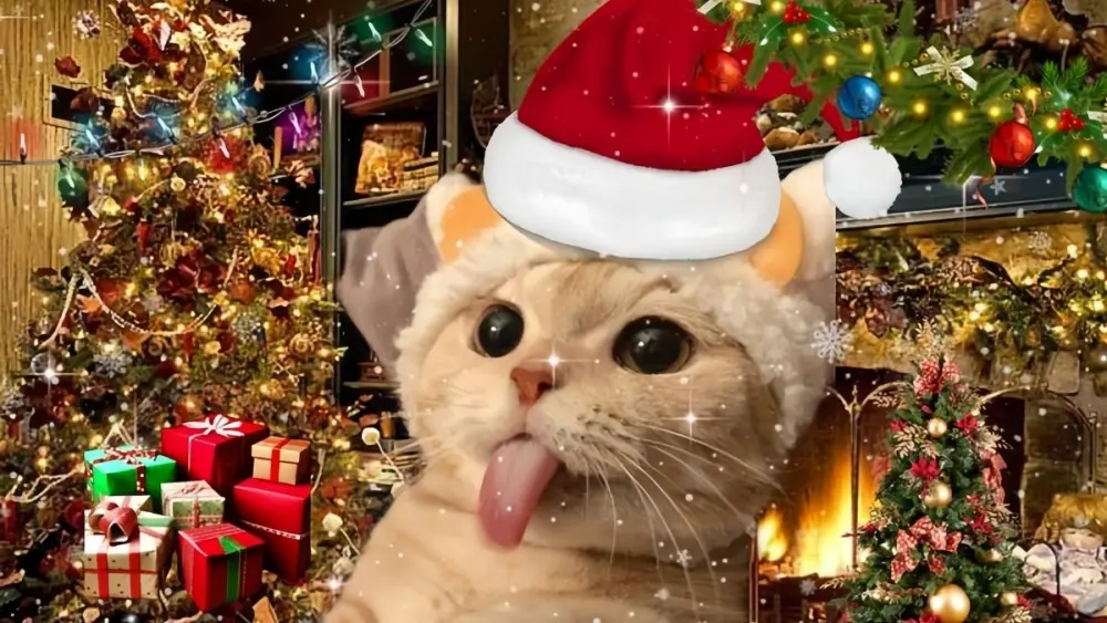 Tận hưởng không khí Giáng sinh qua mèo noel meme siêu đáng yêu.