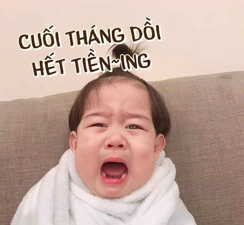 Meme nhận tiền sẽ mang đến những phút giây thư giãn và cực kỳ vui nhộn!