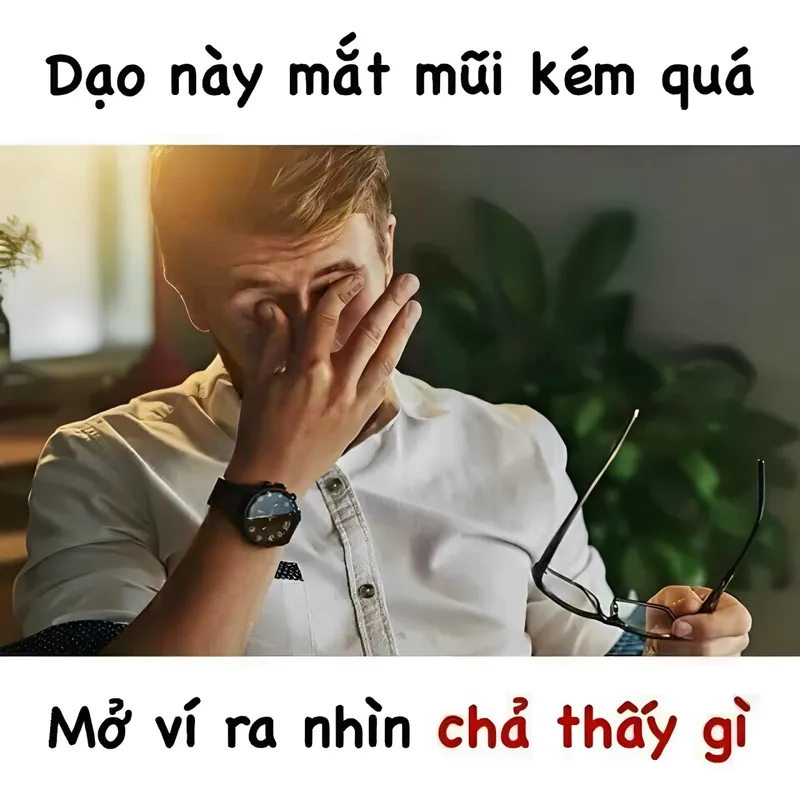 Meme nhiều tiền là lựa chọn lý tưởng cho những ai thích sự phóng khoáng và vui nhộn!