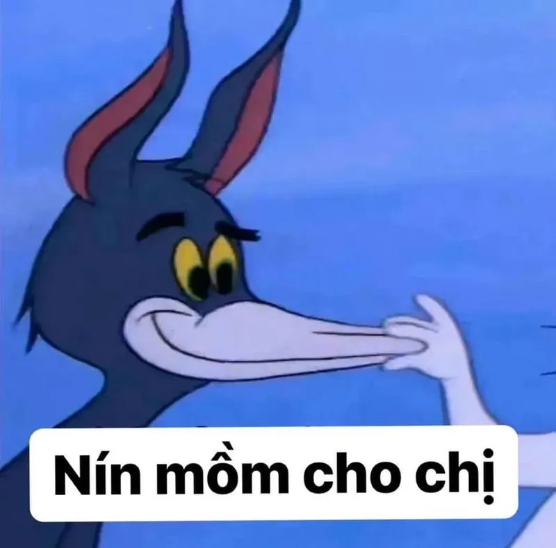 Vô tri ảnh meme người mang đến những hình ảnh hài hước cực kỳ dễ thương và vui nhộn!