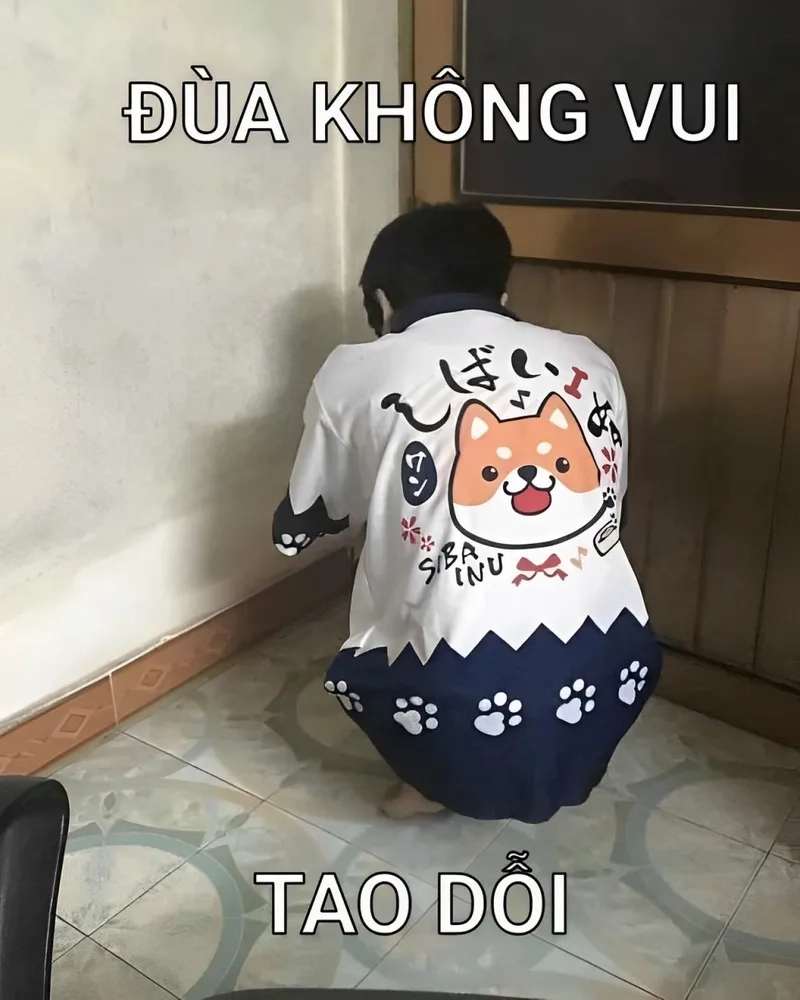 Hãy thử meme avatar vô tri mèo để có những khoảnh khắc thư giãn tuyệt vời!