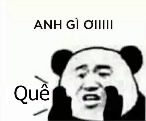 Meme quê hài hước khiến bạn cười vỡ bụng