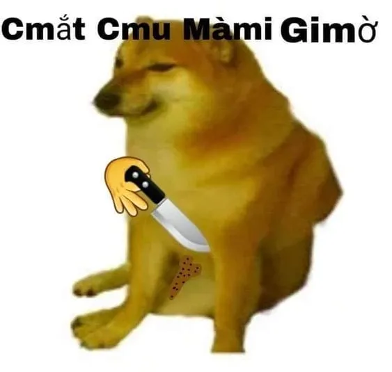 Meme con chó shiba đáng yêu, siêu hài hước.