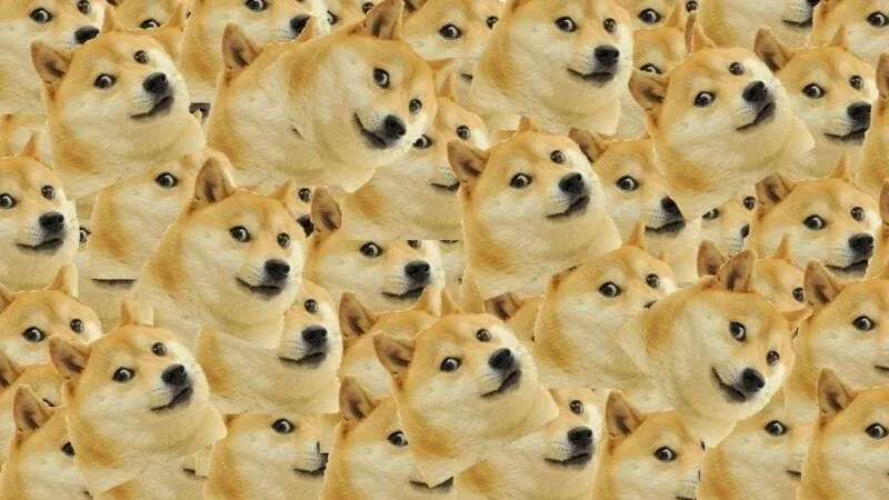 Meme shiba inu siêu ngầu, hài hước.