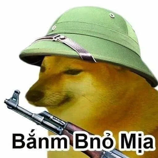 Shiba dog meme hài hước, biểu cảm thú vị.