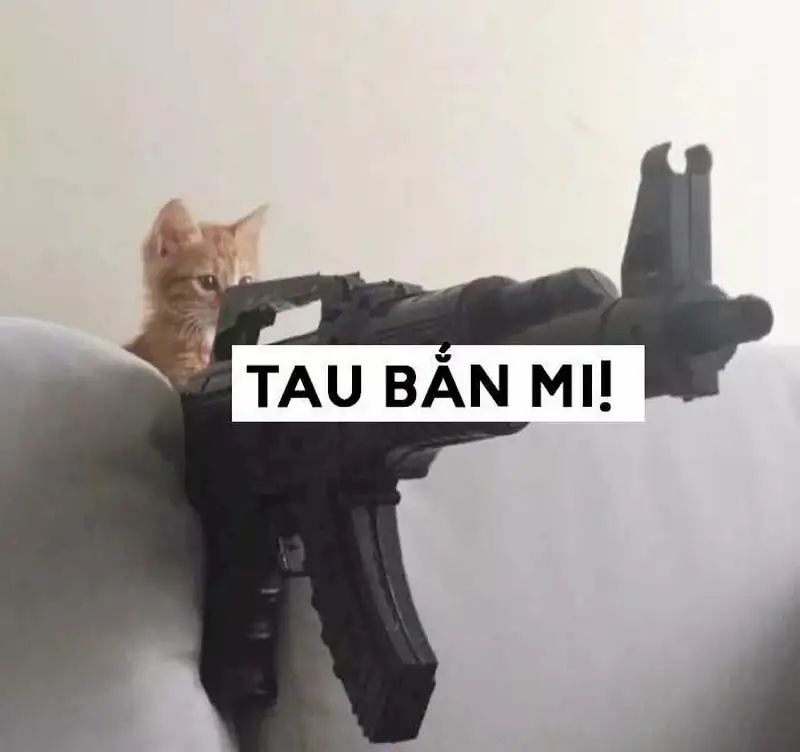 Đắm chìm trong sự sáng tạo của meme thả tim bựa vui nhộn.