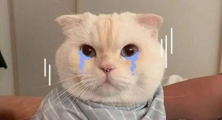 Cry meme gây cười với biểu cảm đầy cảm xúc
