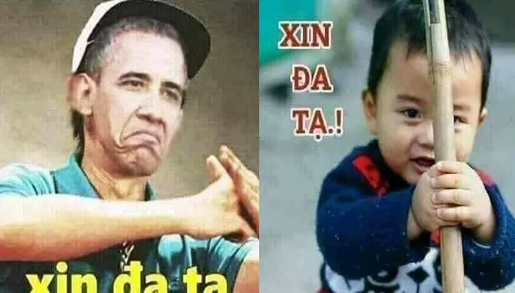 Quỳ xuống xin lỗi meme cực lầy, gây ấn tượng.