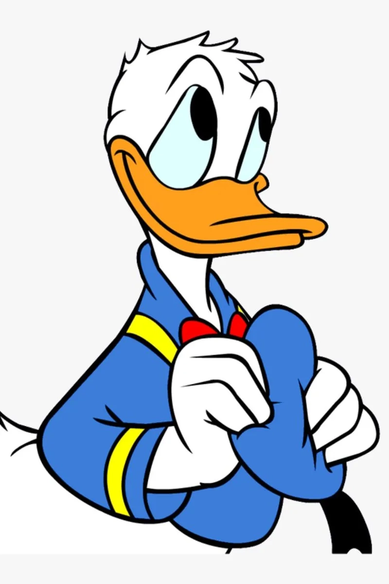 Ảnh meme vịt tổng hợp loạt khoảnh khắc vui nhộn nhất.