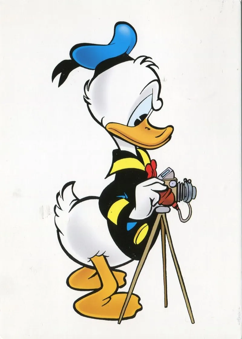 Ảnh meme con vịt khoảnh khắc vui nhộn, lan truyền mạnh mẽ.