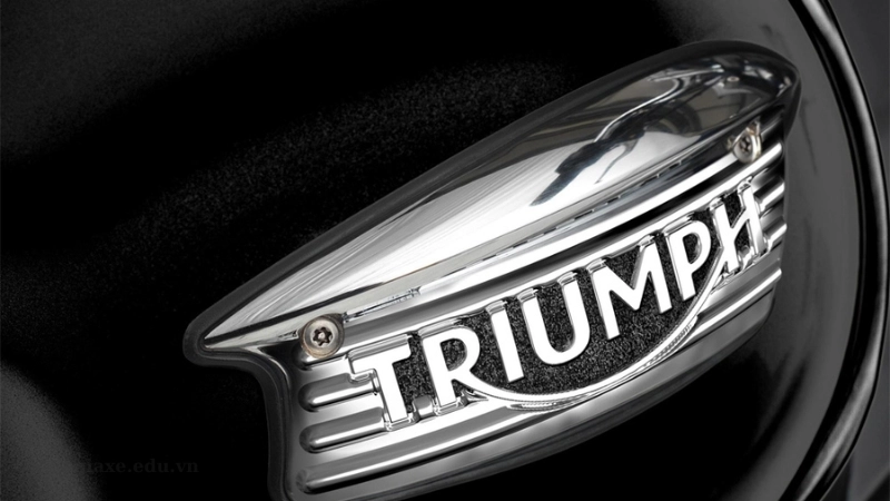 Tổng quát về thương hiệu Triumph