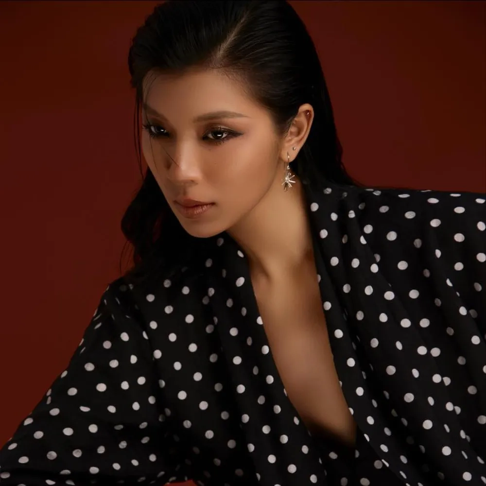 Tiểu sử đầy đủ về Đồng Ánh Quỳnh là ai