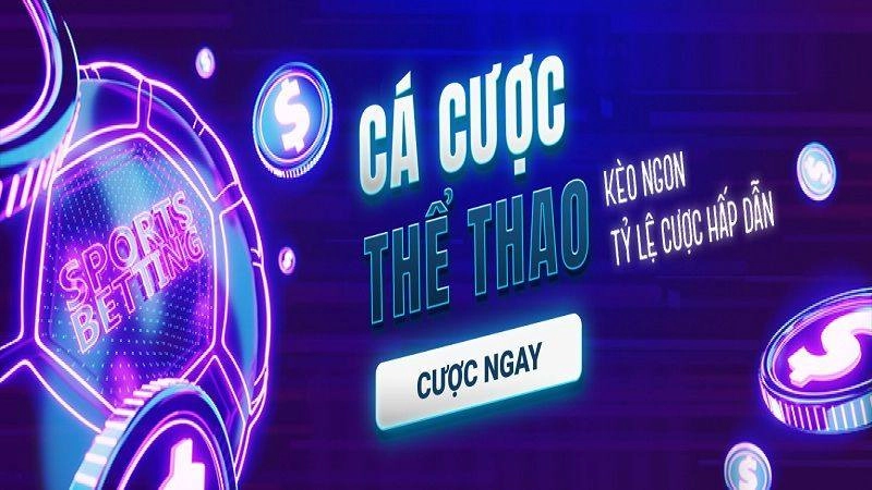  Hỗ trợ khắc phục lỗi đăng nhập ZWINCLUB nhanh chóng.