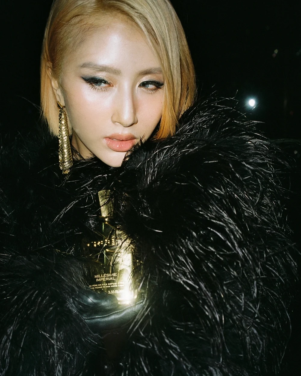 Quỳnh Anh Shyn làm nghề gì?