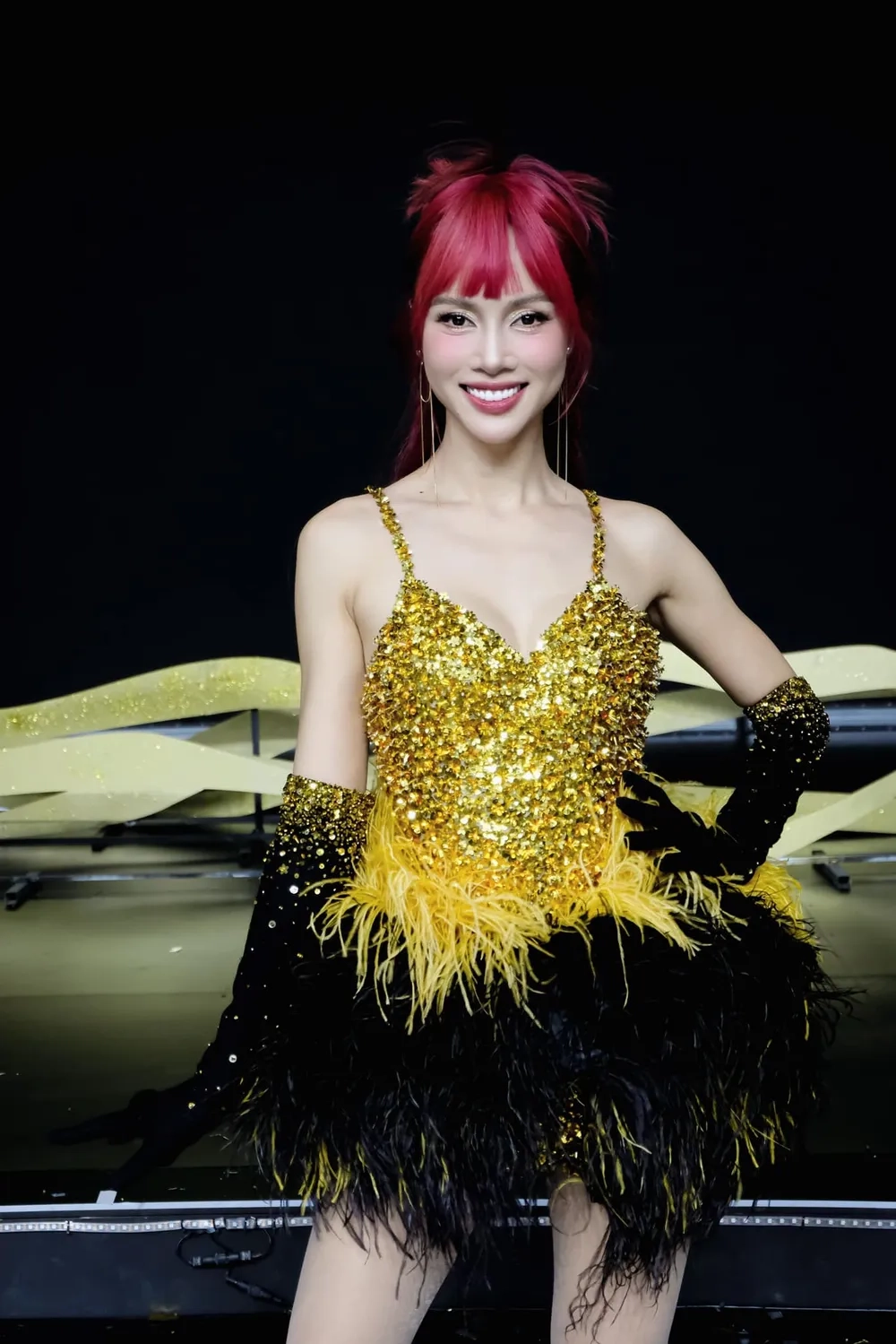 Khán giả tìm kiếm Chị đẹp Vũ Ngọc Anh là ai