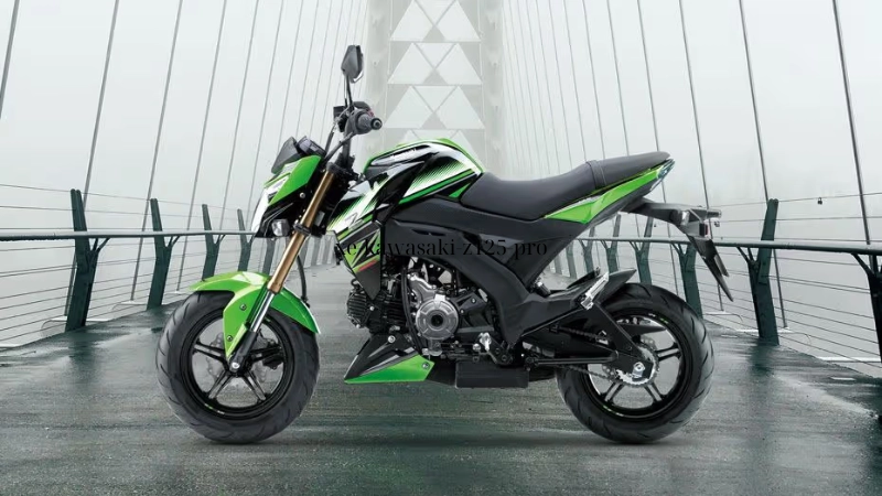Bảng giá xe Kawasaki Z125 PRO