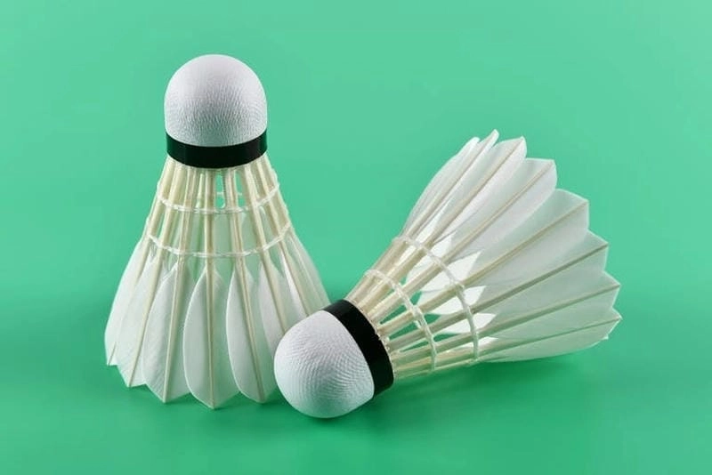 Quản Lý Vốn Và Tâm Lý Khi Chơi Live Cầu Lông 