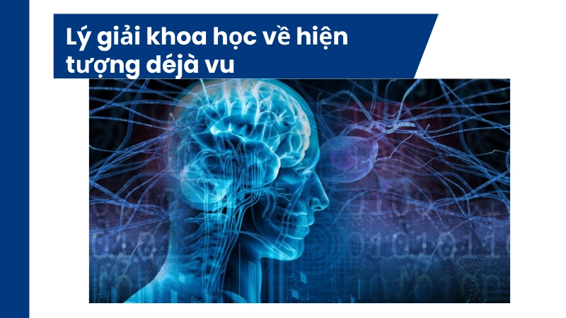 Người trẻ thường gặp hiện tượng déjà vu khi căng thẳng