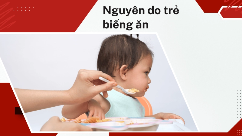 Nguyên nhân phổ biến khiến trẻ biếng ăn