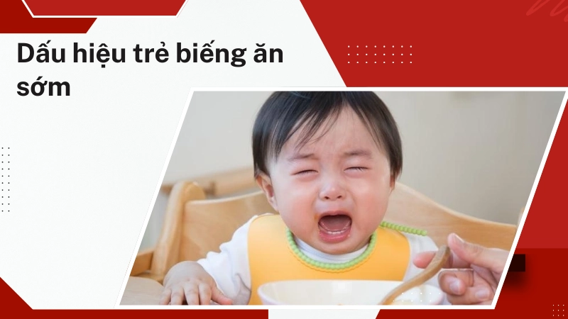 Dấu hiệu nhận biết trẻ biếng ăn sớm
