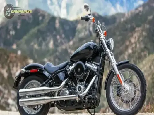 Khám phá sự độc đáo của Softail Standard - Tổng quan chi tiết