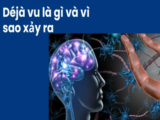 Giải mã hiện tượng déjà vu- Ký ức ảo hay lỗi não bộ thật