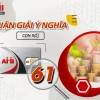Biển số xe đuôi 61 có ý nghĩa gì? Giải mã vận may và tài lộc