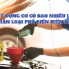 Dầu Nhớt Ô Tô: Hướng Dẫn Lựa Chọn & Phân Loại Chi Tiết Năm 2026