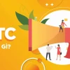 Lỗi DTC là gì? Hướng dẫn nhận biết và khắc phục chi tiết nhất