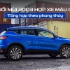 Người tuổi Mùi 2003 hợp xe màu gì để hút tài lộc và may mắn