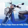 Nữ Mệnh Thủy Hợp Xe Màu Gì? Tư Vấn Chọn Xe Đón Vận May 2026