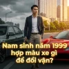 Sinh năm 1999 hợp xe màu gì? Chọn màu xe phong thủy hút tài lộc